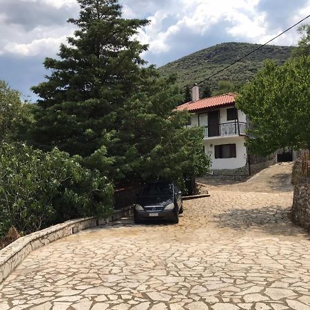 Gourgiana Apartments أندريتساينا المظهر الخارجي الصورة
